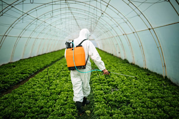 Best Best Pest Control Companies  in Point Pleasant, WV