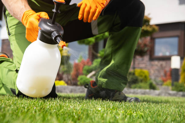 Best Affordable Pest Control Services  in Point Pleasant, WV