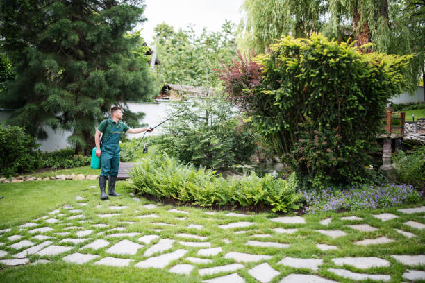 Best Ant Control Services  in Point Pleasant, WV