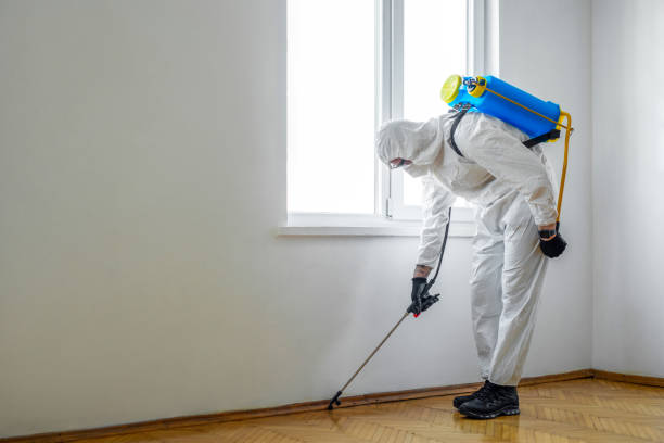 Best Pest Prevention Services  in Point Pleasant, WV