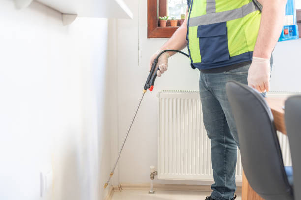 Best Rat Extermination Near Me  in Point Pleasant, WV