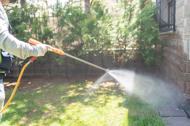 Best Pest Control Near Me  in Point Pleasant, WV