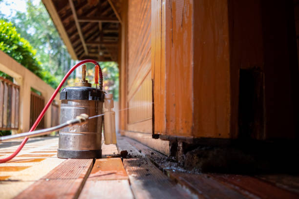 Best Mosquito Control Services  in Point Pleasant, WV