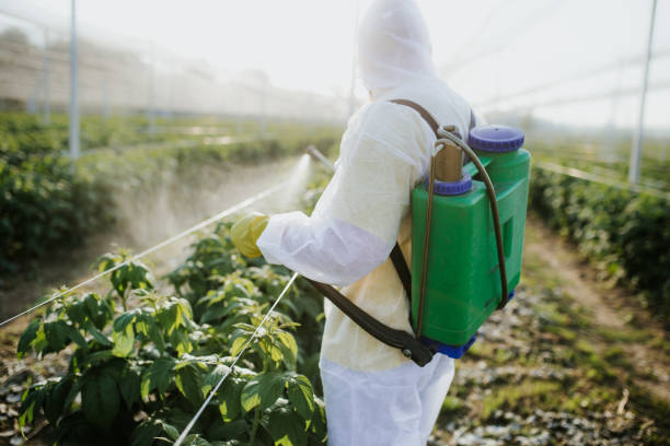 Best Insect Control  in Point Pleasant, WV